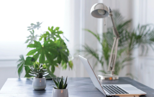 An organized desk with an open laptop and plants