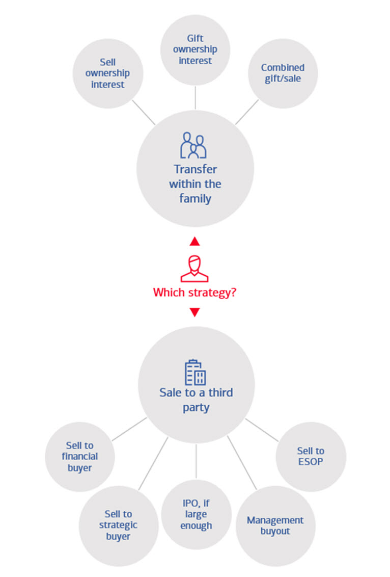 Graphic titled “Which strategy?” comparing two potential exit strategies for a business. Visit the link below for a full description.